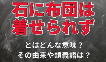 「石に布団は着せられず」とはどんな意味?その由来や用い方に類義語を解説!