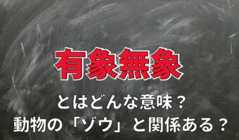 「有象無象」とはどんな意味？動物の「象」とはなにも関連はない！？