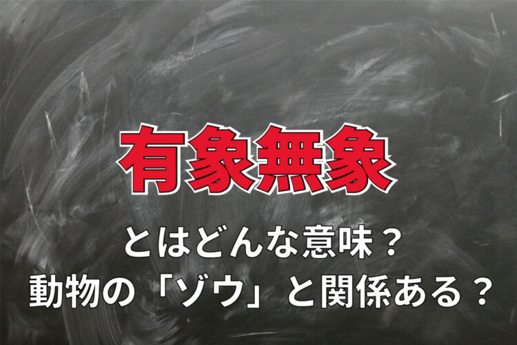 「有象無象」とはどんな意味？動物の「象」とはなにも関連はない！？