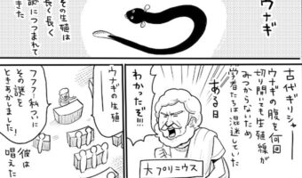 ウナギの生態は謎が多い!そんなウナギの研究の歴史を漫画にしたらめっちゃ面白かった!