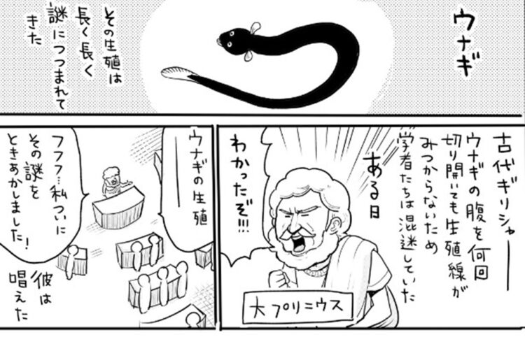 ウナギの生態は謎が多い！そんなウナギの研究の歴史を漫画にしたらめっちゃ面白かった！