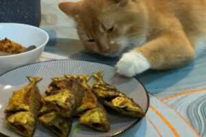 ごはんを狙う猫は演技派？美味しそうなごはんに手を伸ばしているところを飼い主さんに見つかると・・・