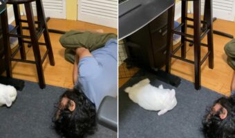ウサギが床をホリホリからの・・コテッ!パパさんの動きを真似っこする姿がかわいすぎ!!【アメリカ・動画】