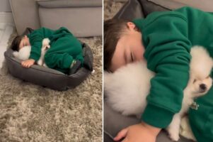 寝顔にほっこり癒される！小さなベッドにぎゅうぎゅうにくっついて眠っているのは仲良しさんたち！！【海外・動画】