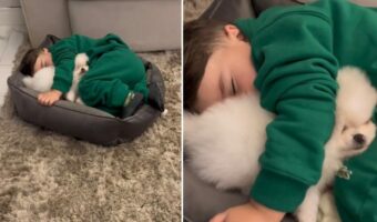 寝顔にほっこり癒される！小さなベッドにぎゅうぎゅうにくっついて眠っているのは仲良しさんたち！！【海外・動画】