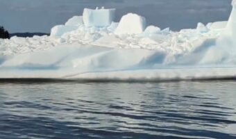 圧倒的なスケールと迫力!カナダの海辺に漂着した巨大な物体。その正体はなんと・・!!【海外・動画】