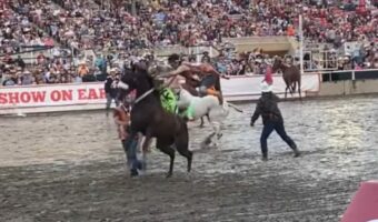 ワイルドかつ迫力満点な乗馬！ロデオイベントで騎手が見せた立ち上がる馬への乗りこなしがスゴい！！【海外・動画】