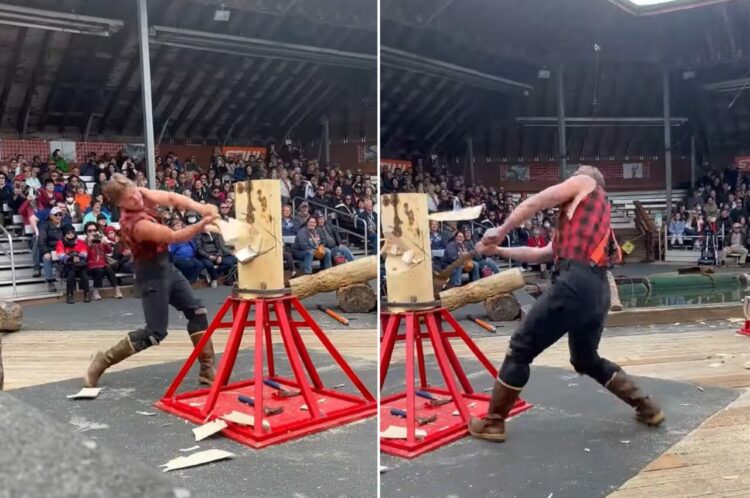 これがプロの木こりの技だ！30秒足らずで丸太を真っ二つに！！【アメリカ・動画】