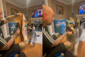 パパさんのマジックにビックリ！眼の前でぬいぐるみが消えてしまい愛犬は・・【海外・動画】