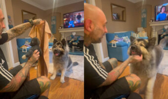 パパさんのマジックにビックリ！眼の前でぬいぐるみが消えてしまい愛犬は・・【海外・動画】
