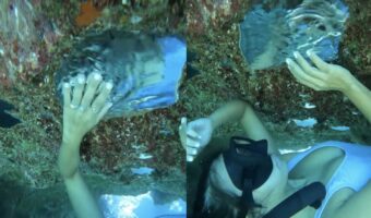 海底の岩の裏に潜る映像！海底にあった不思議な光景の映像に心奪われる