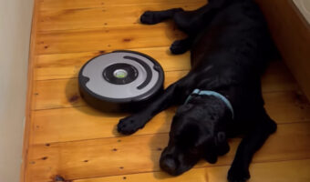 たとえ何度ぶつかってきても・・。ロボット掃除機に体当りされても愛犬はお昼寝を続けます!!