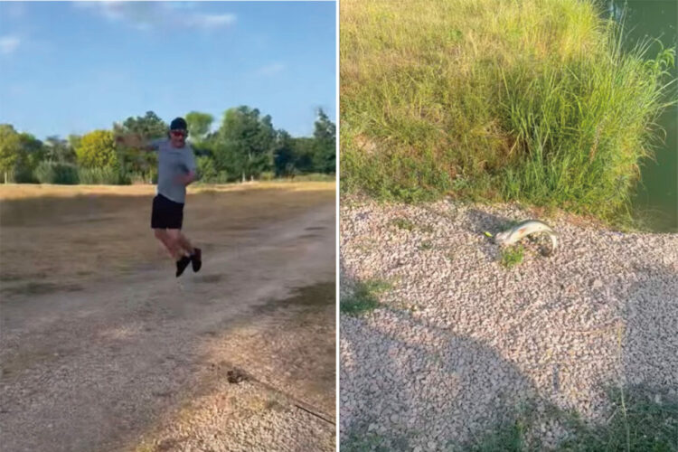 魚を釣り上げ大喜びしている釣り人。だけど大はしゃぎしすぎた結果・・【アメリカ・動画】
