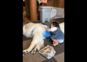 大好きが溢れてる・・・もふもふな愛犬に甘えるお子さんの動画に反響！「可愛すぎてずっと見ていられます」
