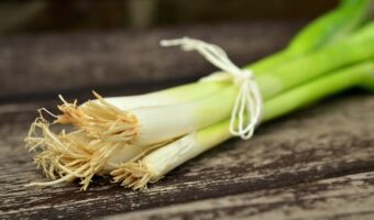 「鴨が葱を背負って来る」とはどんな意味?なぜ鴨なの?その類義語は?