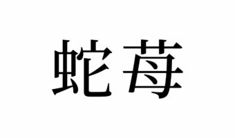 【読めたらスゴイ!】「蛇苺」って何のこと!?イチゴの仲間!?この漢字、あなたは読めますか?