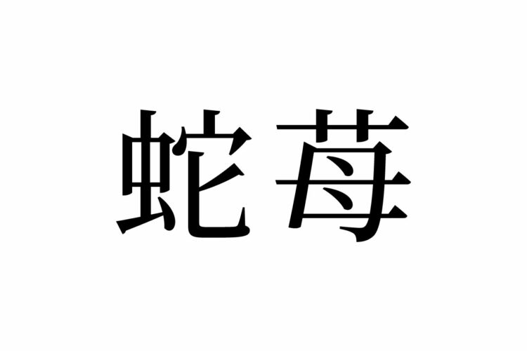 【読めたらスゴイ！】「蛇苺」って何のこと！？イチゴの仲間！？この漢字、あなたは読めますか？