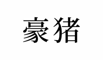 【読めたらスゴイ!】「豪猪」って何のこと!?なんだか強そうな名前!この漢字、あなたは読めますか?
