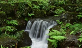 「河童の川流れ」とはどんな意味？その類義語や対義語は？