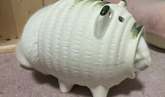 「謎の生き物すぎるし、サイズオーバー感やばい」蚊取り豚にハマっているチンチラが可愛すぎると話題に!