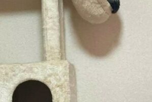 ハンモックから落ちそうで落ちない猫が話題に！「バランスのとり方が絶妙」「この角度が安心して眠れる？」