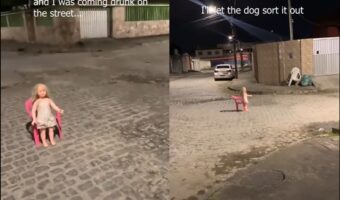 怖いよ!!愛犬と夜道を散歩中、道路の真ん中にポツンと立っていたのは?いったい誰がこんなことを?実は理由があった