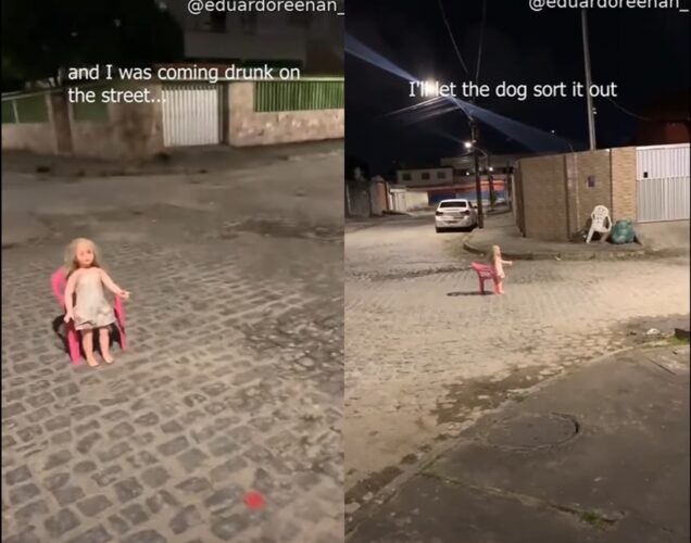 怖いよ！！愛犬と夜道を散歩中、道路の真ん中にポツンと立っていたのは？いったい誰がこんなことを？実は理由があった