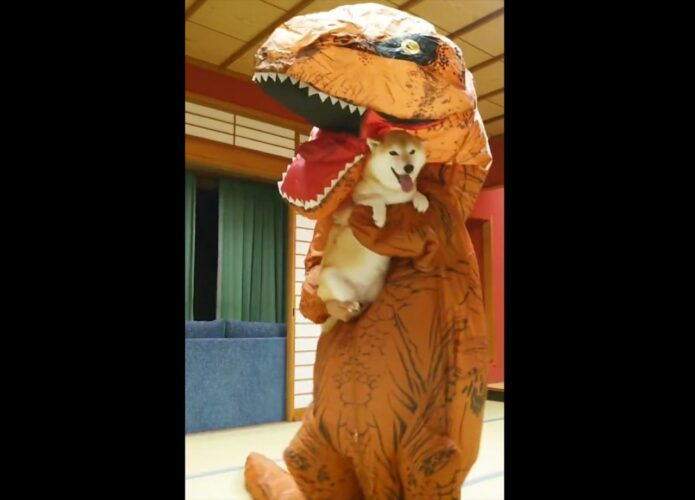 突然ステップを踏み出した飼い主に身を任せる犬が楽しそう！「生命の危機を全く感じていない」