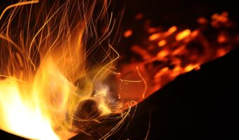 「飛んで火に入る夏の虫」とはどんな意味?その成り立ちや類義語は?