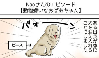 感動!不思議な絆で結ばれた愛犬とおばあちゃんのお話