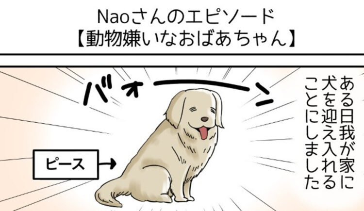 感動！不思議な絆で結ばれた愛犬とおばあちゃんのお話