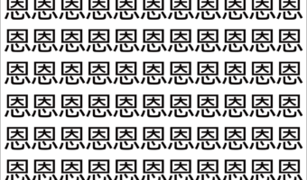 【脳トレ】「恩」の中に紛れて1つ違う文字がある!?あなたは何秒で探し出せるかな??【違う文字を探せ!】