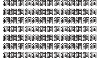 【脳トレ】「鋼」の中に紛れて1つ違う文字がある！？あなたは何秒で探し出せるかな？？【違う文字を探せ！】