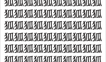 【脳トレ】「狐」の中に紛れて1つ違う文字がある！？あなたは何秒で探し出せるかな？？【違う文字を探せ！】