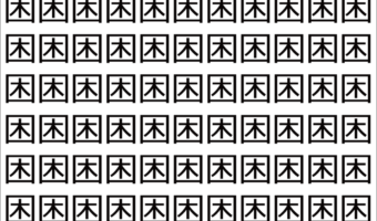 【脳トレ】「困」の中に紛れて1つ違う文字がある!?あなたは何秒で探し出せるかな??【違う文字を探せ!】