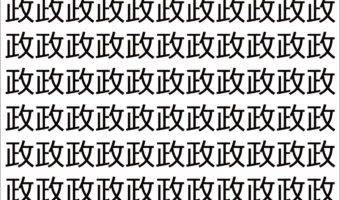 【脳トレ】「政」の中に紛れて1つ違う文字がある！？あなたは何秒で探し出せるかな？？【違う文字を探せ！】