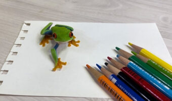 嘘でしょ?これが色鉛筆で!?って思ったらそうじゃなかった!