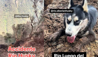 衝撃映像!愛犬のハスキーが目の前でがけ崩れに・・・奇跡的に無傷で生還!
