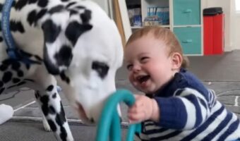 オモチャを渡すだけでも楽しい！キャッキャと笑いながら愛犬と遊ぶ赤ちゃんがかわいすぎる【海外・動画】
