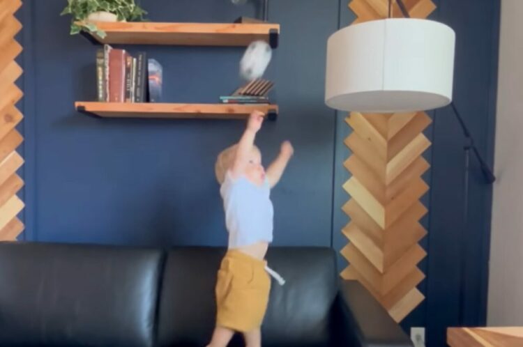 ライトシェードめがけてボールを投げる幼い男の子。ナイスシュートを決めると見事なドヤ顔を披露しました！【アメリカ・動画】