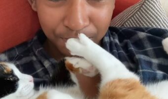 「ニャにを言うつもり!!」飼い主さんが愛猫に関する情報を話そうとすると、猫がある行動に!!【海外・動画】