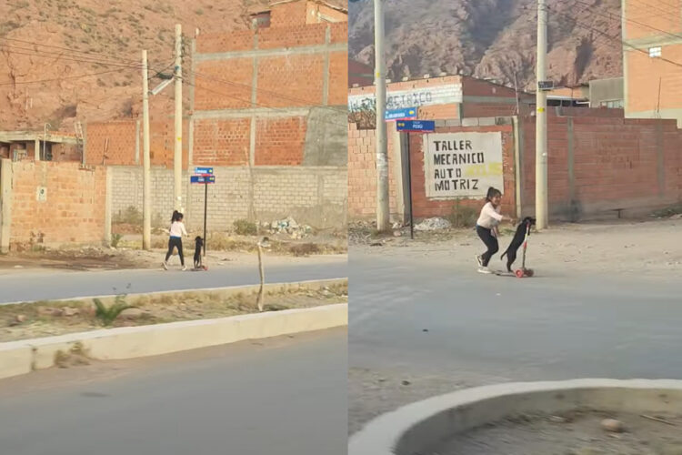 小さな子がキックボードの練習中！と思いきや・・そこに乗っていたのは意外な子！！【海外・動画】