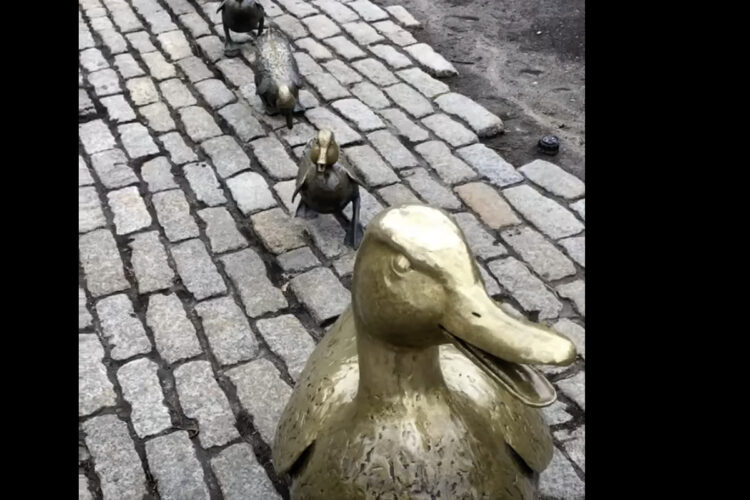 公園に設置されたアヒルの親子のブロンズ像。その最後尾にいたのは・・【アメリカ・動画】