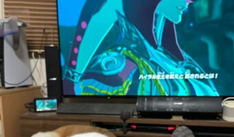 ゲームがイイ感じで盛り上がっているのに画面に集中できないワケとは!?「可愛いすぎて集中できないですね」