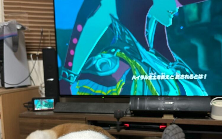 ゲームがイイ感じで盛り上がっているのに画面に集中できないワケとは！？「可愛いすぎて集中できないですね」