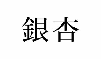 【読めたらスゴイ！】「銀杏」って何のこと！？秋にみかけるあの実です！この漢字、あなたは読めますか？