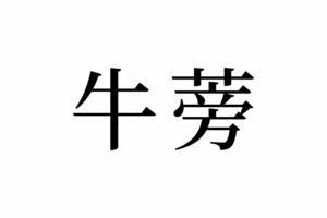 【読めたらスゴイ！】「牛蒡」って何のこと！？ウシの仲間！？なんだか強そう！？この漢字、あなたは読めますか？