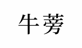【読めたらスゴイ!】「牛蒡」って何のこと!?ウシの仲間!?なんだか強そう!?この漢字、あなたは読めますか?