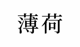 【読めたらスゴイ!】「薄荷」って何のこと!?読めそうで読めないけど、好きな人も多いハズ!この漢字、あなたは読めますか?