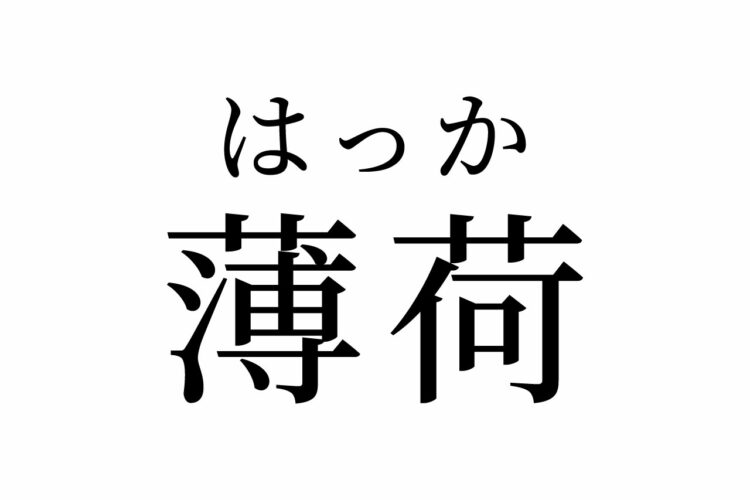 【読めたらスゴイ!】「薄荷」って何のこと!?読めそうで読めないけど、好きな人も多いハズ!この漢字、あなたは読めますか?